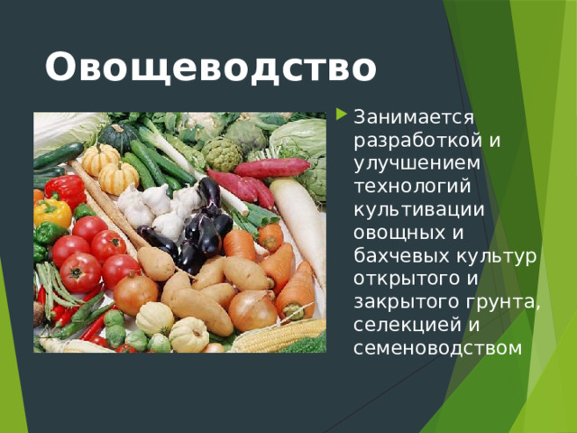 Овощеводство Занимается разработкой и улучшением технологий культивации овощных и бахчевых культур открытого и закрытого грунта, селекцией и семеноводством   