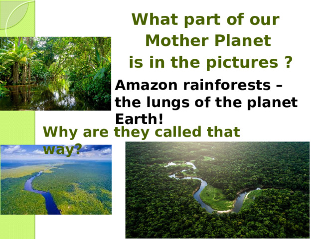 What part of our Mother Planet  is in the pictures ? Amazon rainforests – the lungs of the planet Earth! Why are they called that way? 