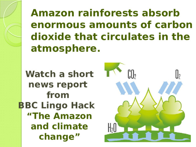 Amazon rainforests absorb enormous amounts of carbon dioxide that circulates in the atmosphere. Watch a short news report from BBC Lingo Hack “ The Amazon and climate change” 