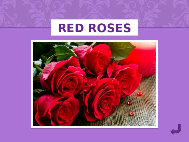 Red roses 