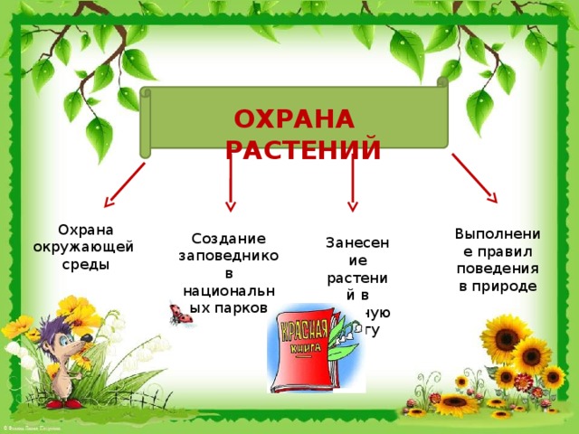 Схема охраны растений