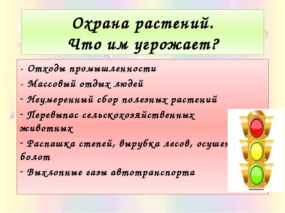 Окружающий мир 3 класс плешаков охрана растений. Проект по окружающему миру 3 класс охрана растений. Охрана растений презентация. Презентация на тему охрана растений. Охрана растений 3 класс.