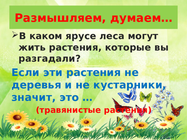 Что такое поле 2 класс 21 век презентация