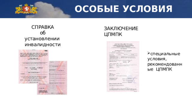 ОСОБЫЕ УСЛОВИЯ СПРАВКА об  установлении  инвалидности ЗАКЛЮЧЕНИЕ  ЦПМПК специальные условия,  ре ком ендо ван н ые ЦПМПК 