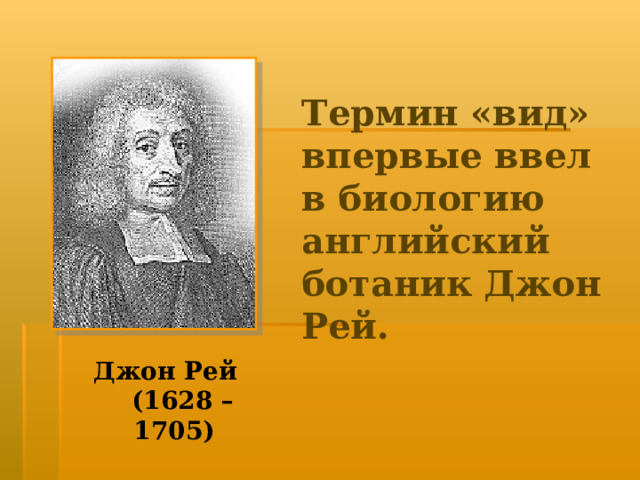Термин «вид» впервые ввел в биологию английский ботаник Джон Рей. Джон Рей (1628 – 1705) 
