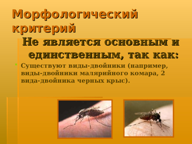 Морфологический критерий Не является основным и единственным, так как: Существуют виды-двойники (например, виды-двойники малярийного комара, 2 вида-двойника черных крыс). 
