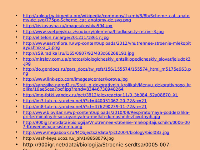 http://upload.wikimedia.org/wikipedia/commons/thumb/8/8b/Scheme_cat_anatomy-de.svg/775px-Scheme_cat_anatomy-de.svg.png http://kiskavasha.ru/images/koshka594.jpg http://www.svetpejsku.cz/soubory/plemena/hladkosrsty-retrivr-3.jpg http://elitefon.ru/large/201211/18617.jpg http://www.earthflora.ru/wp-content/uploads/2012/vnutrennee-stroenie-mlekopitayushhix-2_1.png http://s59.radikal.ru/i165/0907/92/433c66268191.jpg http://mirslov.com.ua/photos/biologicheskiy_entsiklopedicheskiy_slovar/jeludok2.jpg http://do.gendocs.ru/pars_docs/tw_refs/156/155574/155574_html_m5175e663.png http://www.link-spb.com/images/center/korova.jpg http://sanzaika.narod2.ru/Stati_o_dekorativnih_krolikah/Menyu_dekorativnogo_krolika/16ae5cea7bcf.jpg?rand=83446738948264 http://img-fotki.yandex.ru/get/3812/alexreactor.11/0_3b084_62a08870_XL http://im3-tub-ru.yandex.net/i?id=440051062-20-72&n=21 http://im8-tub-ru.yandex.net/i?id=476290239-11-72&n=21 http://www.biovitar.ru/wp-content/uploads/2010/09/Respiratornaya-podderzhka-pri-terminalnyih-sostoyaniyah-u-melkih-domashnih-zhivotnyih.jpg http://900igr.net/datai/biologija/Vnutrennee-stroenie-mlekopitajuschikh/0006-007-Krovenosnaja-sistema.png http://www.megabook.ru/MObjects2/data/pict2004/biology/biol083.jpg http://vash-keys.ucoz.ru/_ph/1/8858079.jpg http://900igr.net/datai/biologija/Stroenie-serdtsa/0005-007-Stroenie-serdtsa.png 