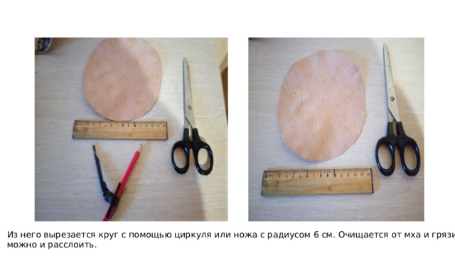 Из него вырезается круг с помощью циркуля или ножа с радиусом 6 см. Очищается от мха и грязи, а можно и расслоить. 