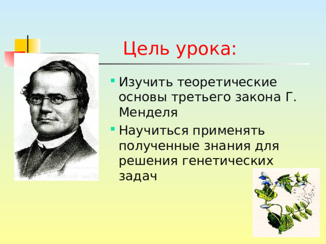 Цель урока: Изучить теоретические основы третьего закона Г. Менделя Научиться применять полученные знания для решения генетических задач Изучить теоретические основы третьего закона Г. Менделя Научиться применять полученные знания для решения генетических задач Изучить теоретические основы третьего закона Г. Менделя Научиться применять полученные знания для решения генетических задач Изучить теоретические основы третьего закона Г. Менделя Научиться применять полученные знания для решения генетических задач Изучить теоретические основы третьего закона Г. Менделя Научиться применять полученные знания для решения генетических задач 