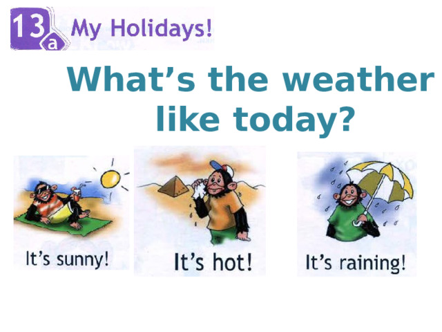 What’s the weather  like today? 