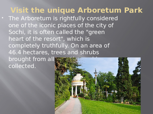 Visit the unique Arboretum Park   The Arboretum is rightfully considered one of the iconic places of the city of Sochi, it is often called the 