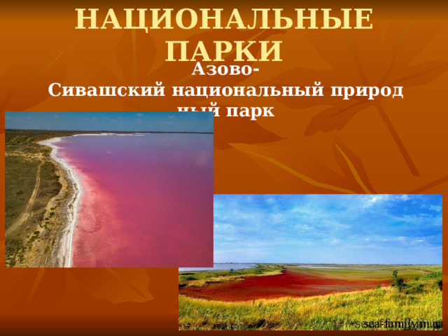 НАЦИОНАЛЬНЫЕ ПАРКИ Азово-Сивашский национальный природный парк 