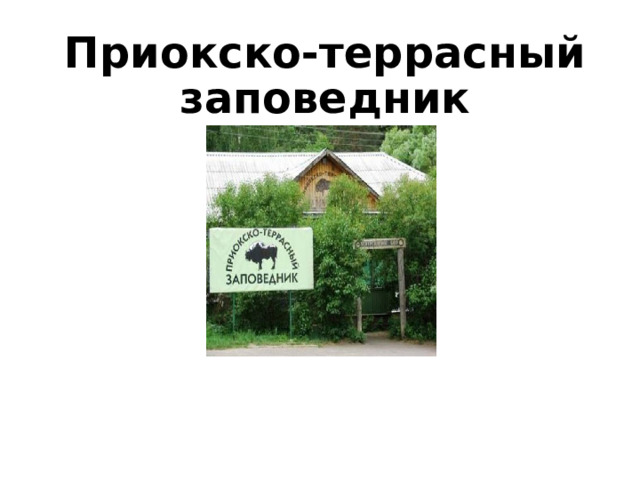 Приокско-террасный заповедник 
