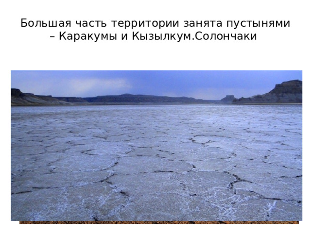 Большая часть территории занята пустынями – Каракумы и Кызылкум.Солончаки 