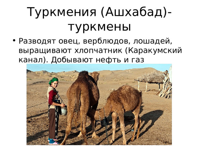 Туркмения (Ашхабад)-туркмены Разводят овец, верблюдов, лошадей, выращивают хлопчатник (Каракумский канал). Добывают нефть и газ 