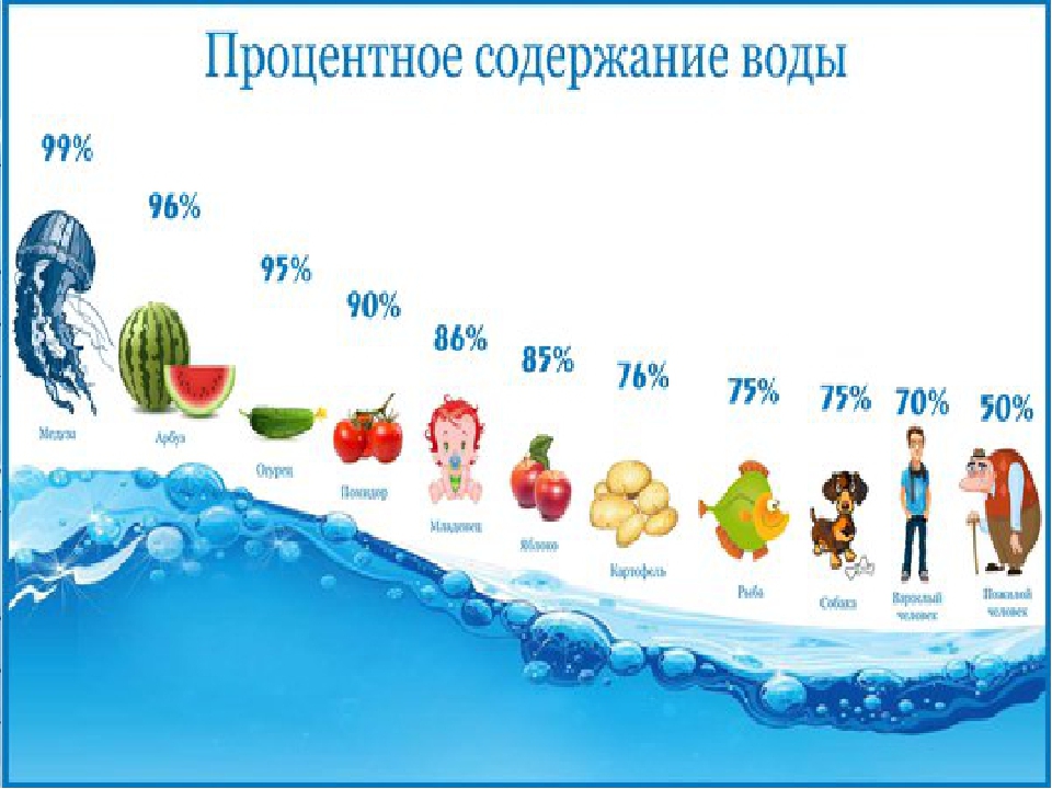 Сколько воды в овощах. Содержание воды в живых организмах. Содержание воды в организме. Процентное содержание воды. Содержание воды в разных организмах.