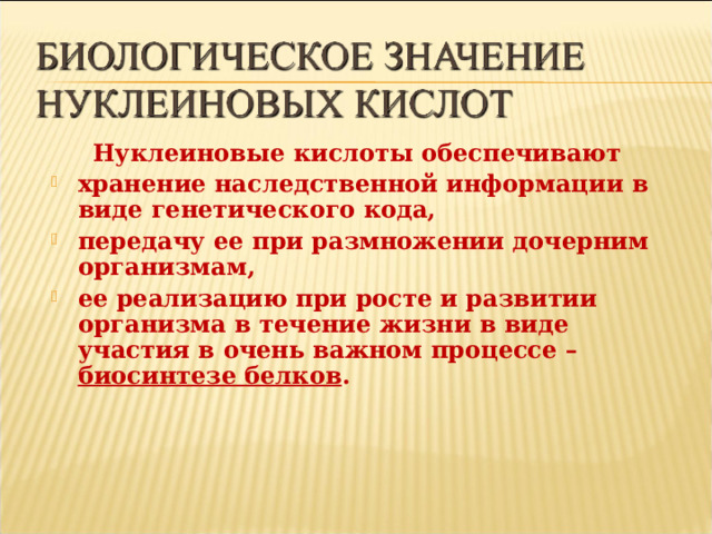  Нуклеиновые кислоты обеспечивают хранение наследственной информации в виде генетического кода, передачу ее при размножении дочерним организмам, ее реализацию при росте и развитии организма в течение жизни в виде участия в очень важном процессе – биосинтезе белков .  