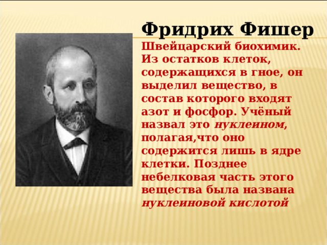 Фридрих Фишер Швейцарский биохимик. Из остатков клеток, содержащихся в гное, он выделил вещество, в состав которого входят азот и фосфор. Учёный назвал это нуклеином , полагая,что оно содержится лишь в ядре клетки. Позднее небелковая часть этого вещества была названа нуклеиновой кислотой 