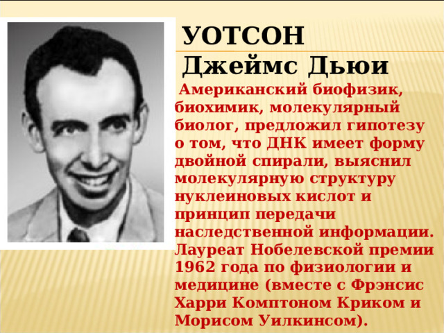 УОТСОН Джеймс Дьюи  Американский биофизик, биохимик, молекулярный биолог, предложил гипотезу о том, что ДНК имеет форму двойной спирали, выяснил молекулярную структуру нуклеиновых кислот и принцип передачи наследственной информации. Лауреат Нобелевской премии 1962 года по физиологии и медицине (вместе с Фрэнсис Харри Комптоном Криком и Морисом Уилкинсом). 