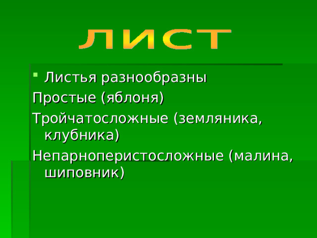 Листья разнообразны Простые (яблоня) Тройчатосложные (земляника, клубника) Непарноперистосложные (малина, шиповник) 