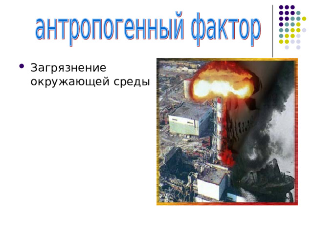 Загрязнение окружающей среды 