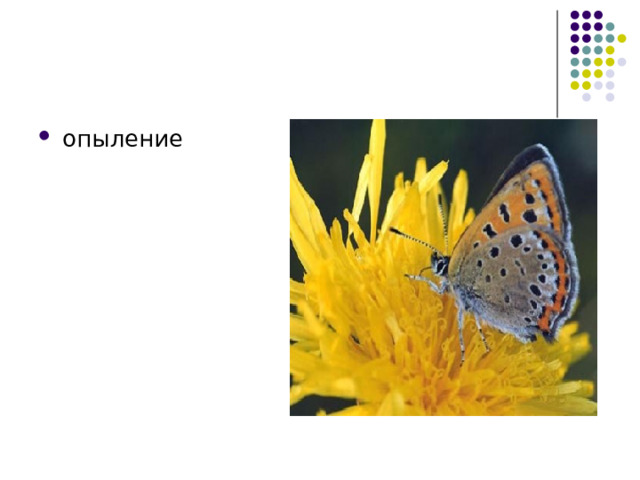 опыление 