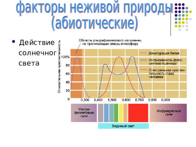 Действие  солнечного  света 