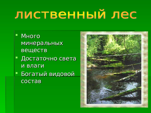 Среди животных богаче видовой состав. Богатый видовой состав. Растительное сообщество Донбасса презентация. Продолжить, среди растений богаче видовой состав.