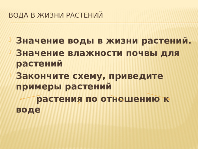 Значение цветов в жизни растений