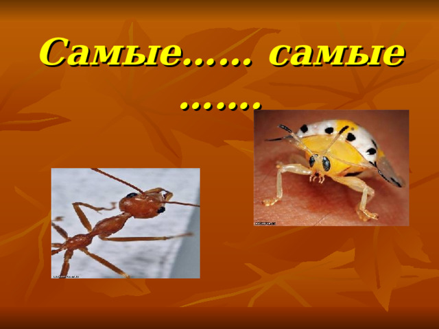 Самые…… самые ……. 