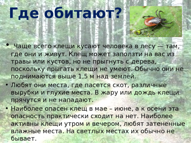 Куда чаще всего любят ходить женщины 100 к 1 андроид