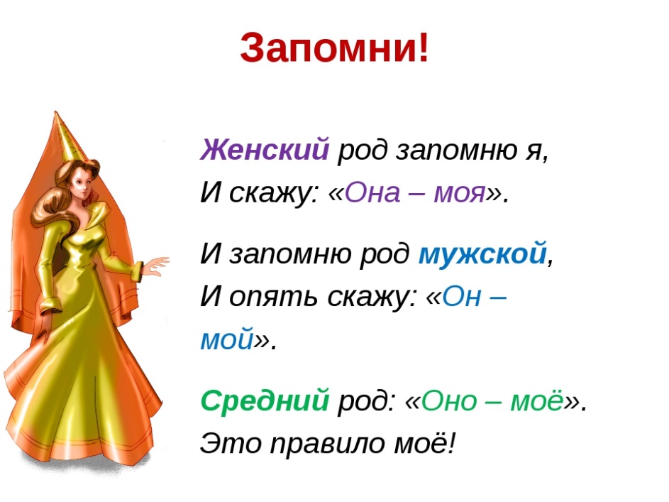 Краток женский род. Женский род. Мужской род женский род. Существительные мужского и женского рода. Женский род существительных.