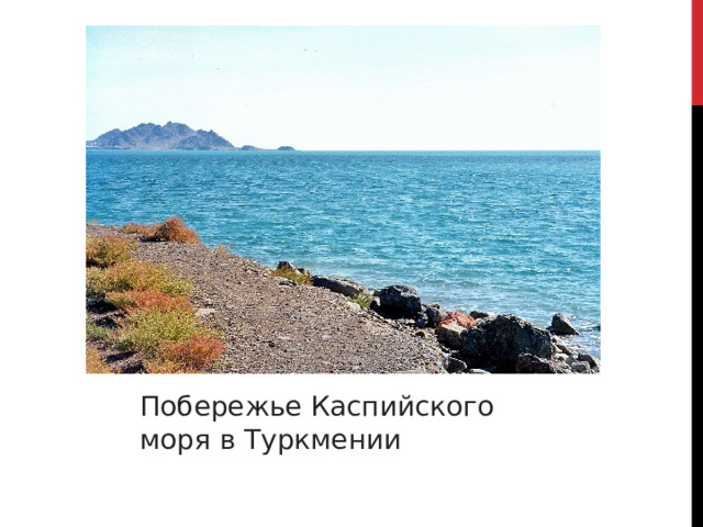 Побережье Каспийского моря в Туркмении 