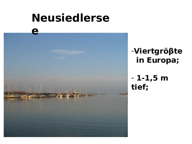 Neusiedlersee Viertgr ö βte  in Europa;   1-1,5 m tief; 