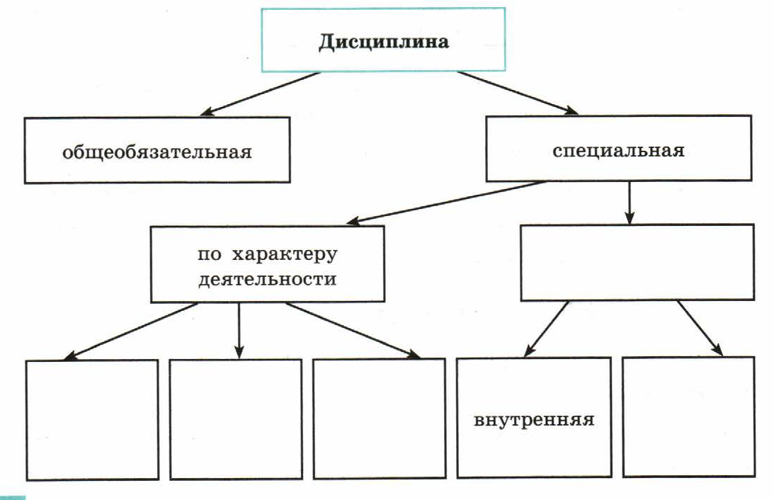 Практическая работа дисциплина