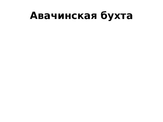 Авачинская бухта 