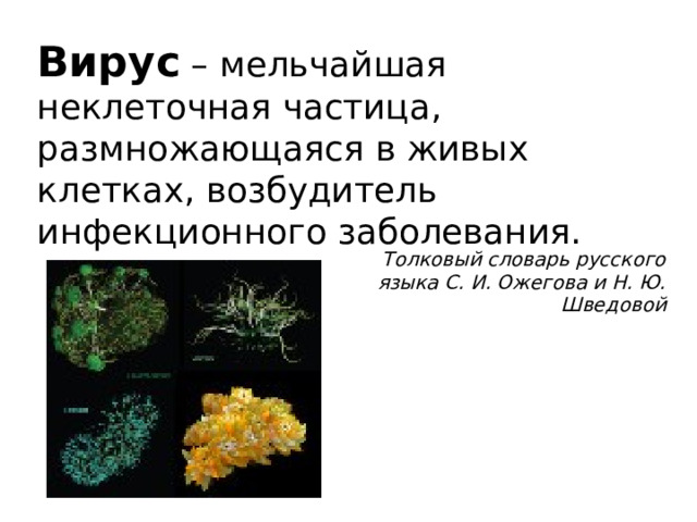Вирус – мельчайшая неклеточная частица, размножающаяся в живых клетках, возбудитель инфекционного заболевания. Толковый словарь русского языка С. И. Ожегова и Н. Ю. Шведовой  