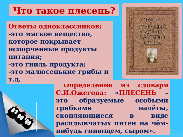 Исследовательская работа по теме Плесень польза или вред