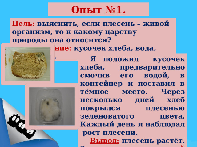 Определите к какому надцарству царству относят организм изображенный на рисунке какой тип питания