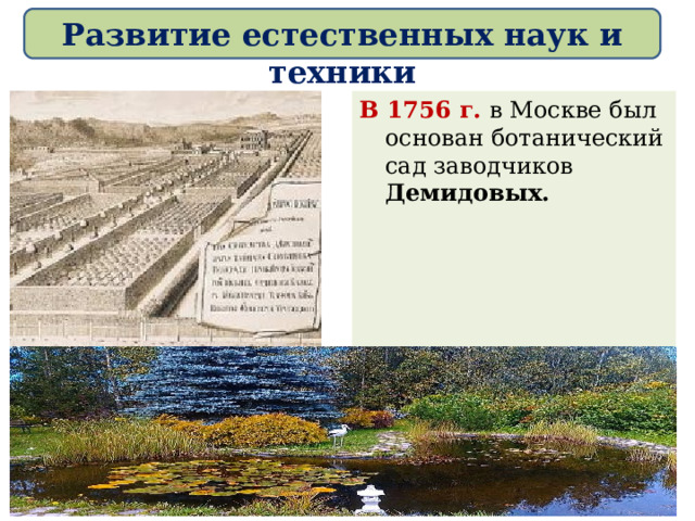 Развитие естественных наук и техники В 1756 г. в Москве был основан ботанический сад заводчиков Демидовых.  