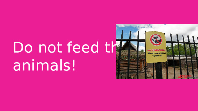 Do not feed the animals! 