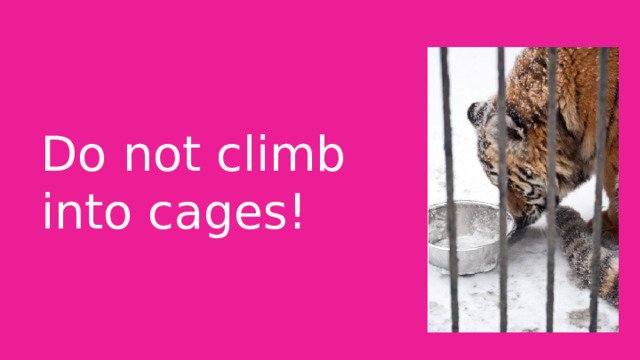 Do not climb into cages! 