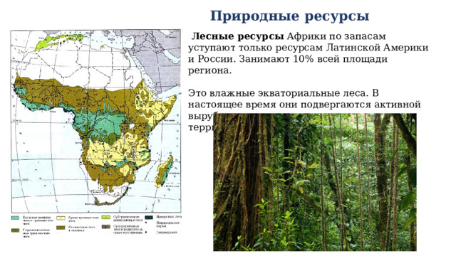 Природные ресурсы  Лесные ресурсы  Африки по запасам уступают только ресурсам Латинской Америки и России. Занимают 10% всей площади региона. Это влажные экваториальные леса. В настоящее время они подвергаются активной вырубке, что проводит к опустыниванию территории.     