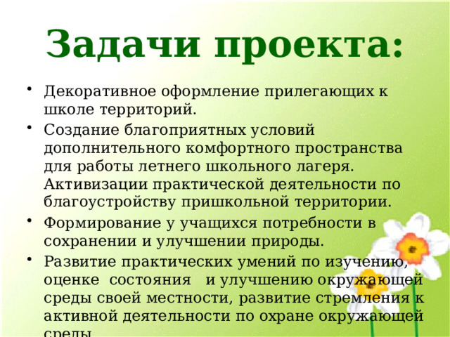 Дизайн пришкольной территории проект 10 класс