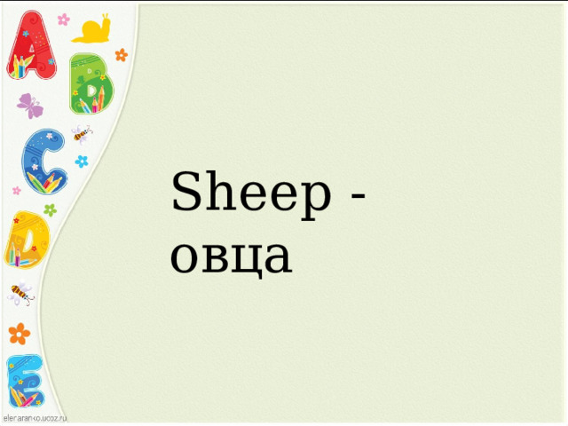 Sheep - овца 