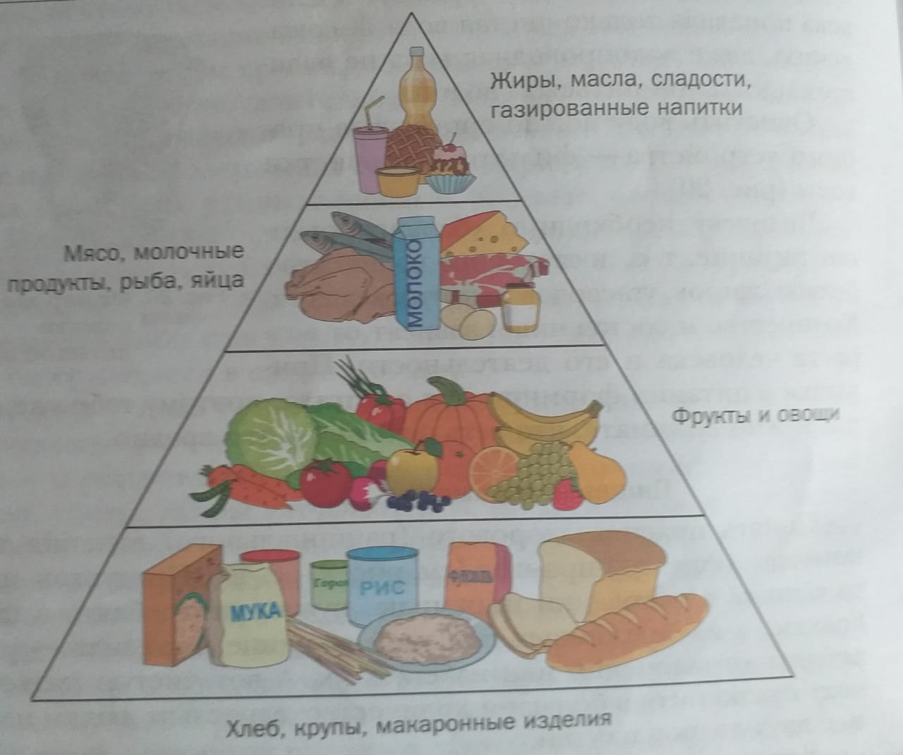Технология пищевая пирамида. Пирамида правильного питания технология. Пищевая пирамида 5 класс технология. Технология класс пищевая пирамида.