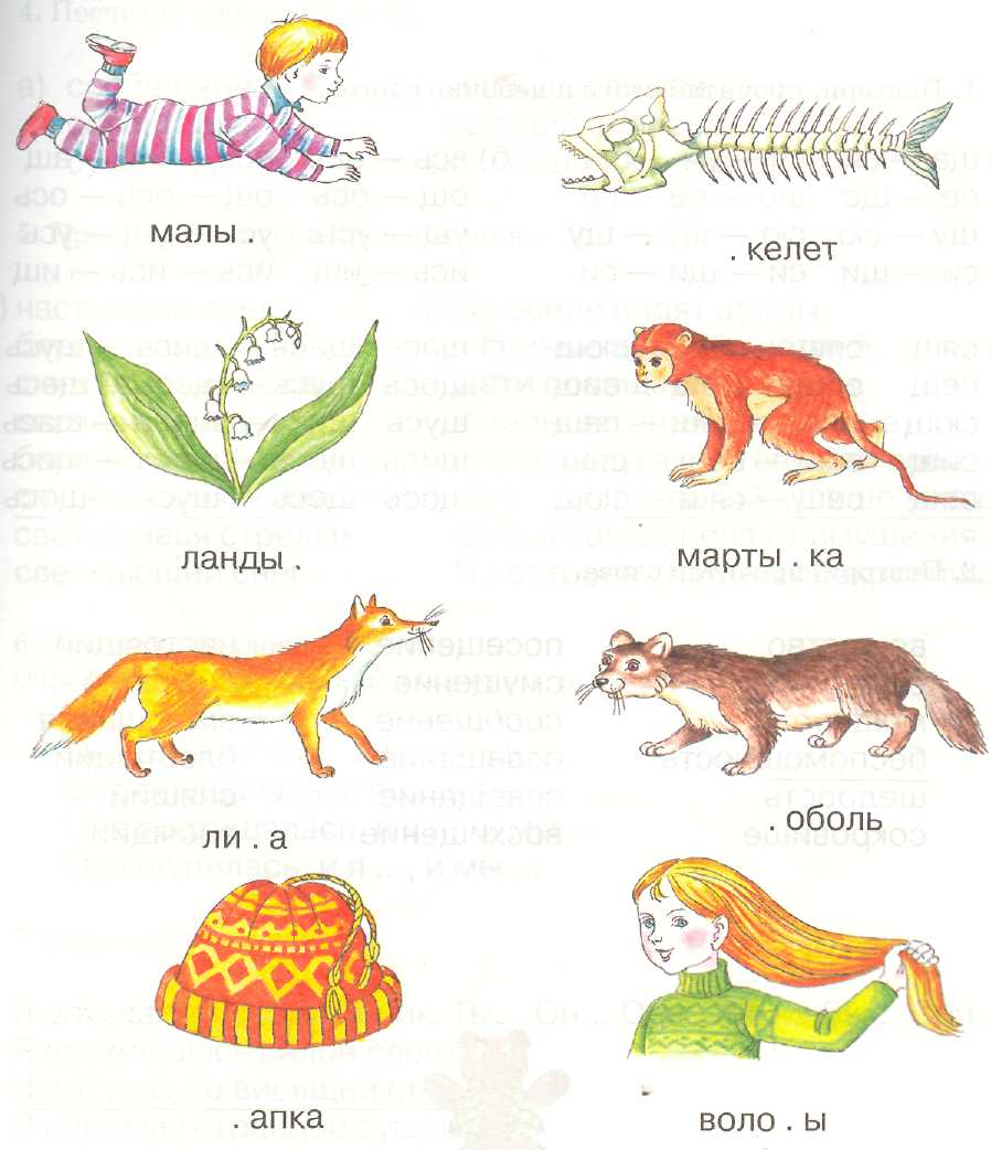 Картинки Со Звуком Сь Для Детей