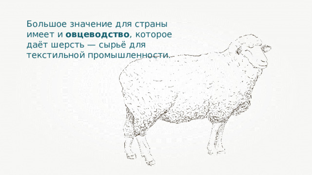 Большое значение для страны имеет и овцеводство , которое даёт шерсть — сырьё для текстильной промышленности. 