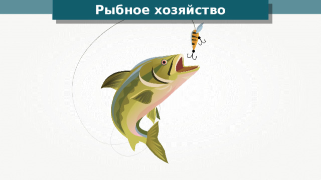 Рыбное хозяйство 