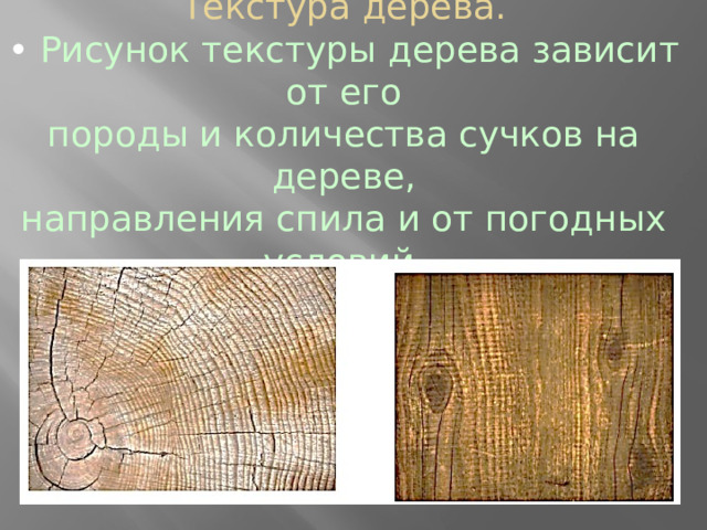Текстура дерева.  • Рисунок текстуры дерева зависит от его  породы и количества сучков на дереве,  направления спила и от погодных условий . 